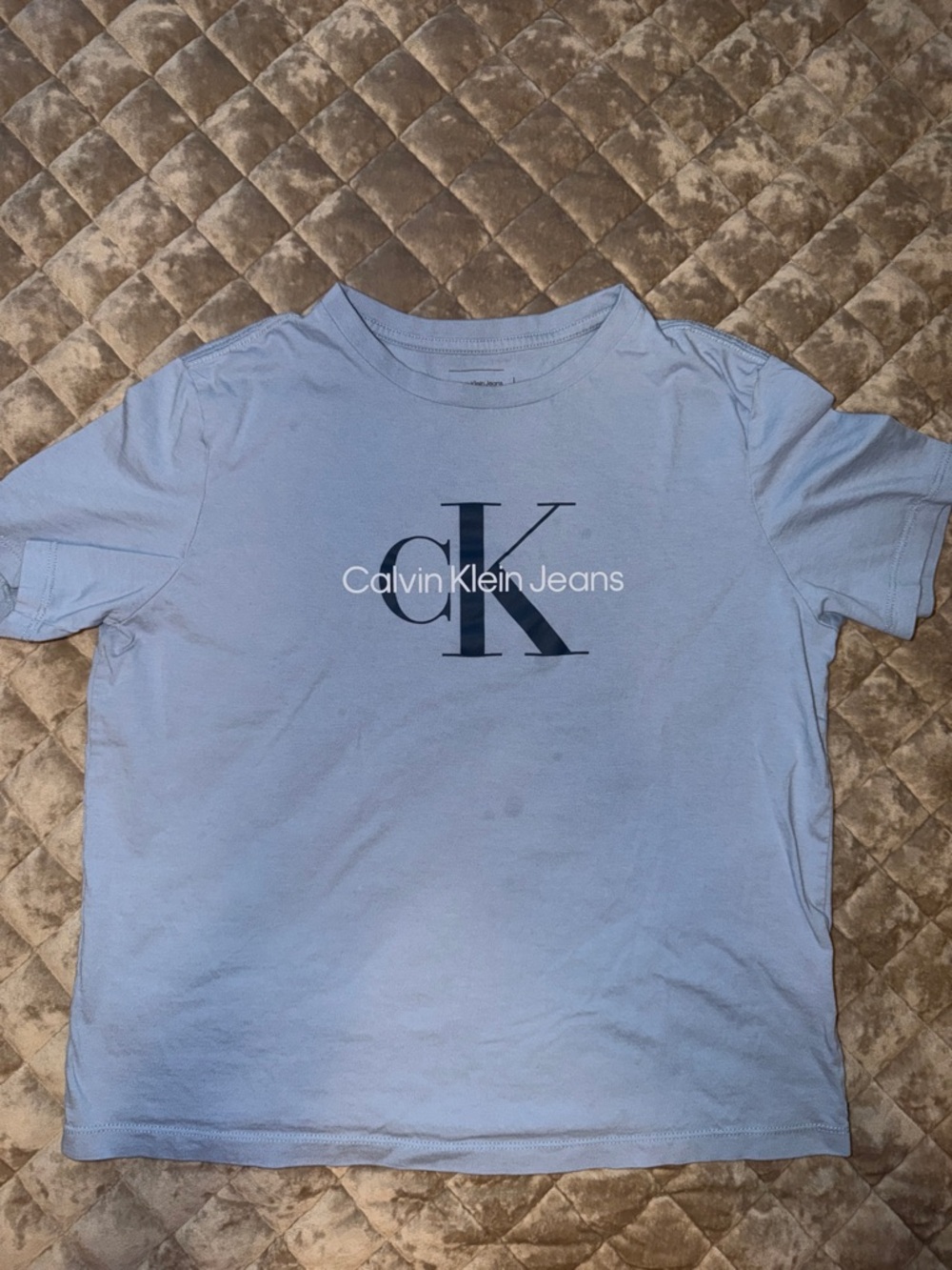 Calvin Klein Jeans Pale Blue CK Logo T-Shirt